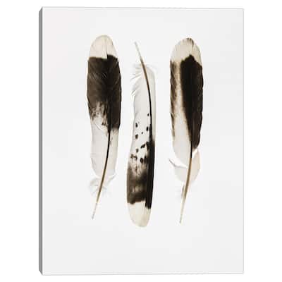 Three Feathers by Nancy Crowell Canvas Art Print