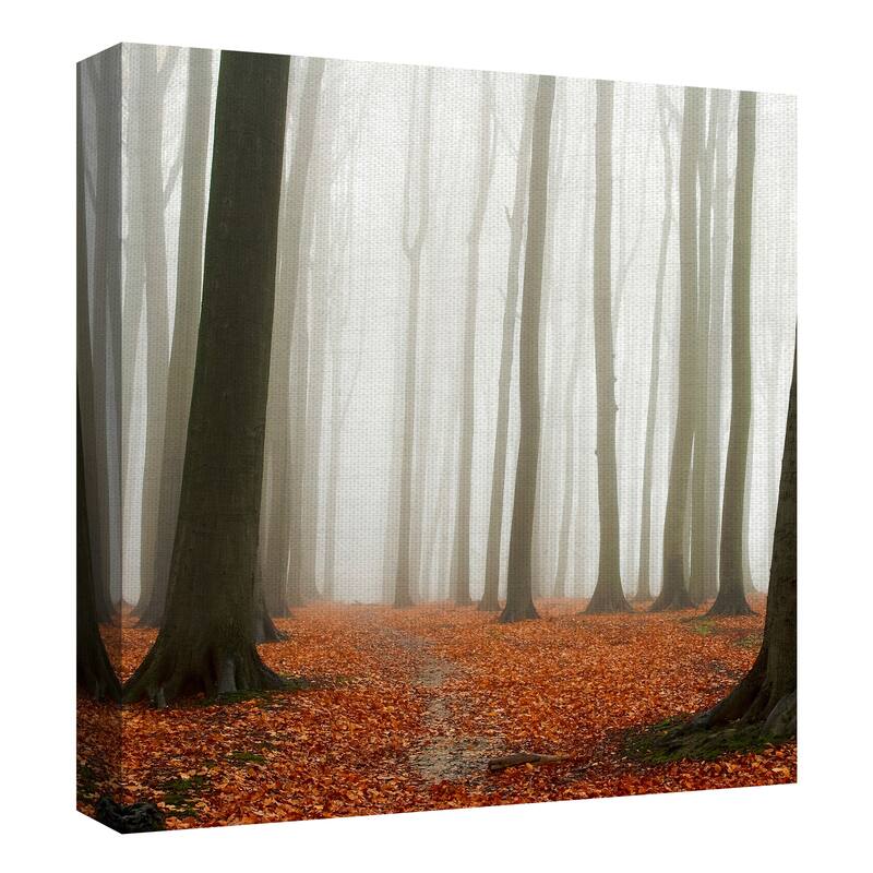 Autumn Forest Floor by PhotoINC Studio Canvas Art Print