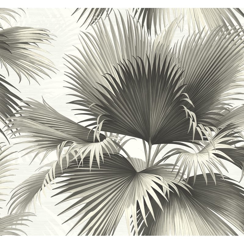 Kenneth James Endless Summer Black Palm Wallpaper - 27in x 324in x 0.025in
