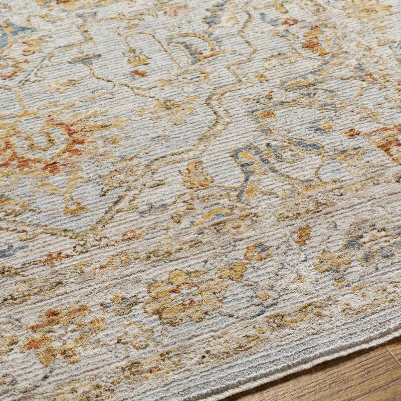 Tereza Updated Traditional Medallion Area Rug