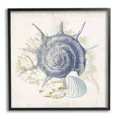 Stupell Intricate Conch Seashell Drawing Layered Coral Botanicals Framed Wall Art, Design by Victoria Barnes
