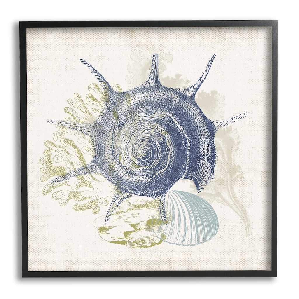Stupell Intricate Conch Seashell Drawing Layered Coral Botanicals Framed Wall Art, Design by Victoria Barnes