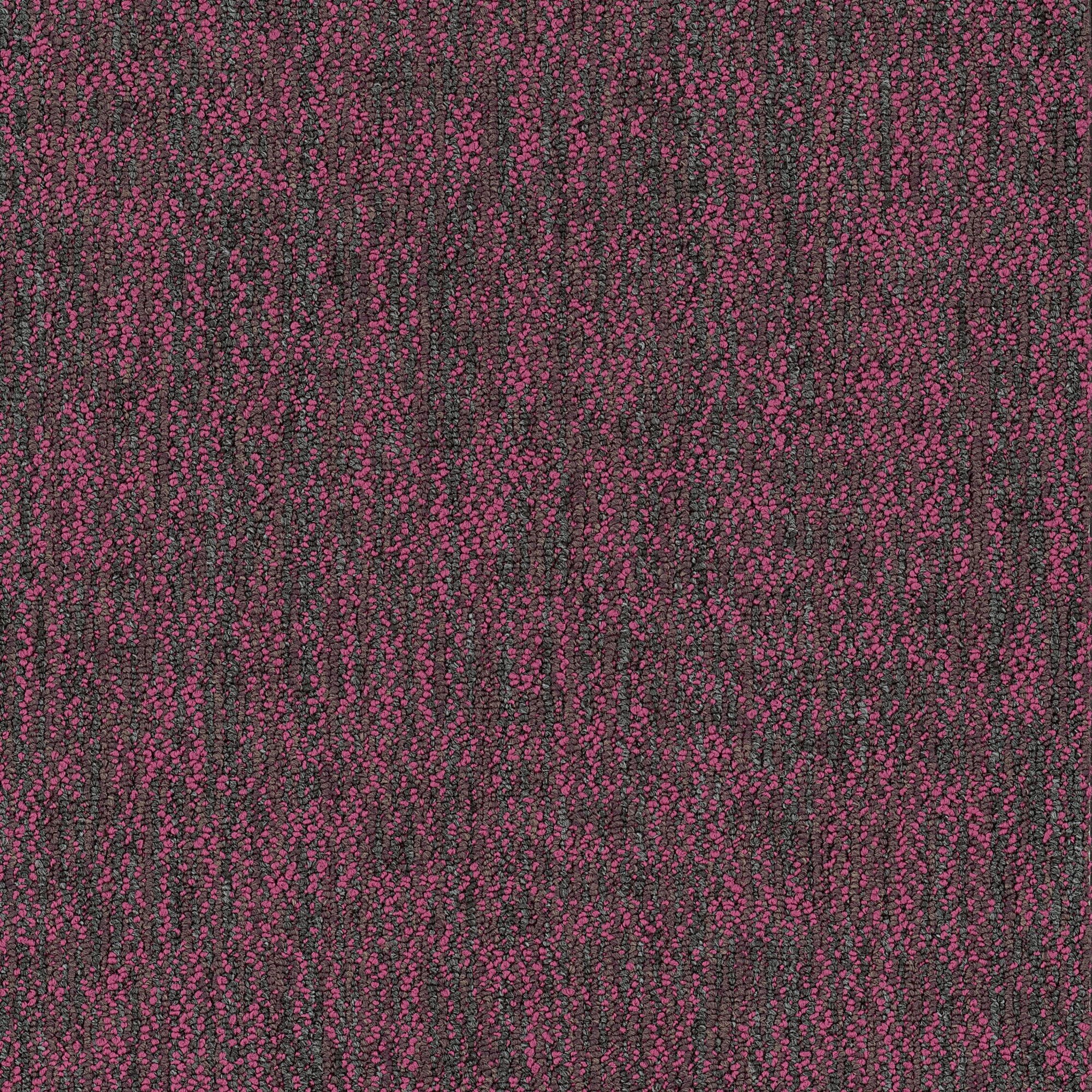 Shaw Philadelphia Commercial Crazy Smart 18" x 36" Glue Down Carpet