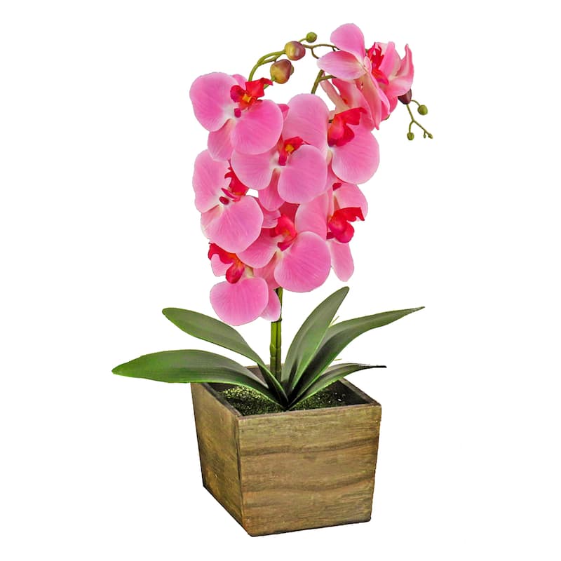 National Tree Company 21 in. Pink Orchid Flower in Wood Box