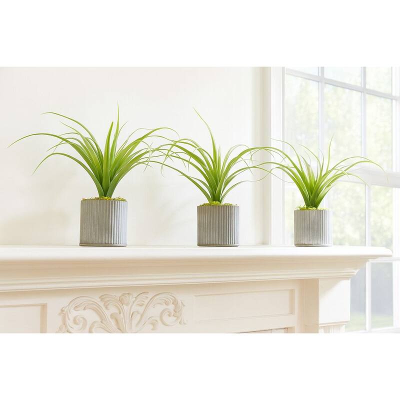 HomeStock Light Green Curly Tillandsia in Round Tin Planter (Set of 3) - Modern Faux Air Plants Trio - 9.5