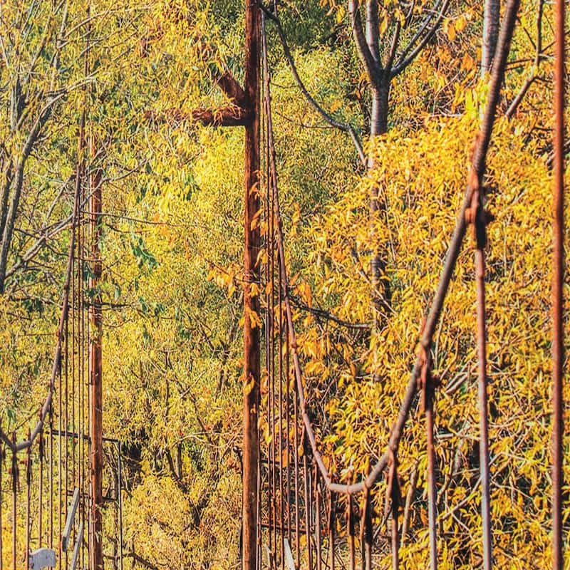 Yosemite Home Decor Glass Wall Art Woodlands
