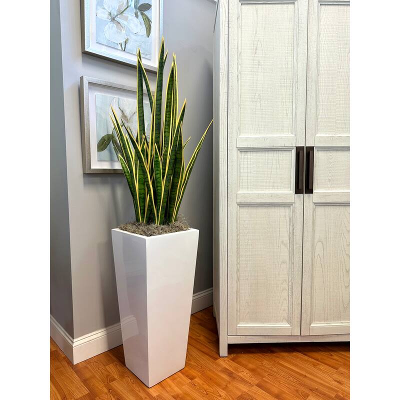 6 ft Faux Snake Plant in Fiberstone Pot - Green