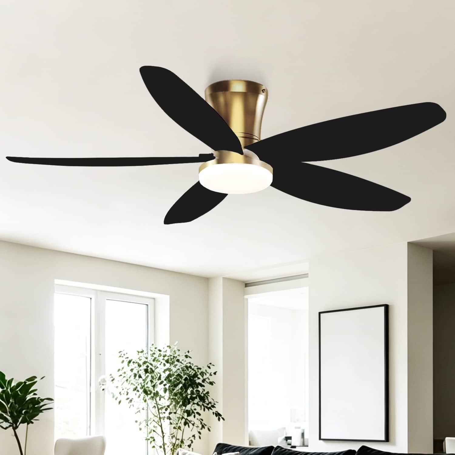 Option Gold with Black