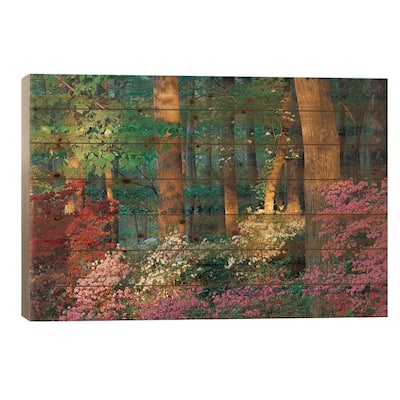 Overlook Azalea Garden, Callaway Gardens, Pine Mountain, Georgia, USA Print On Wood by Nancy Rotenberg - Multi-Color