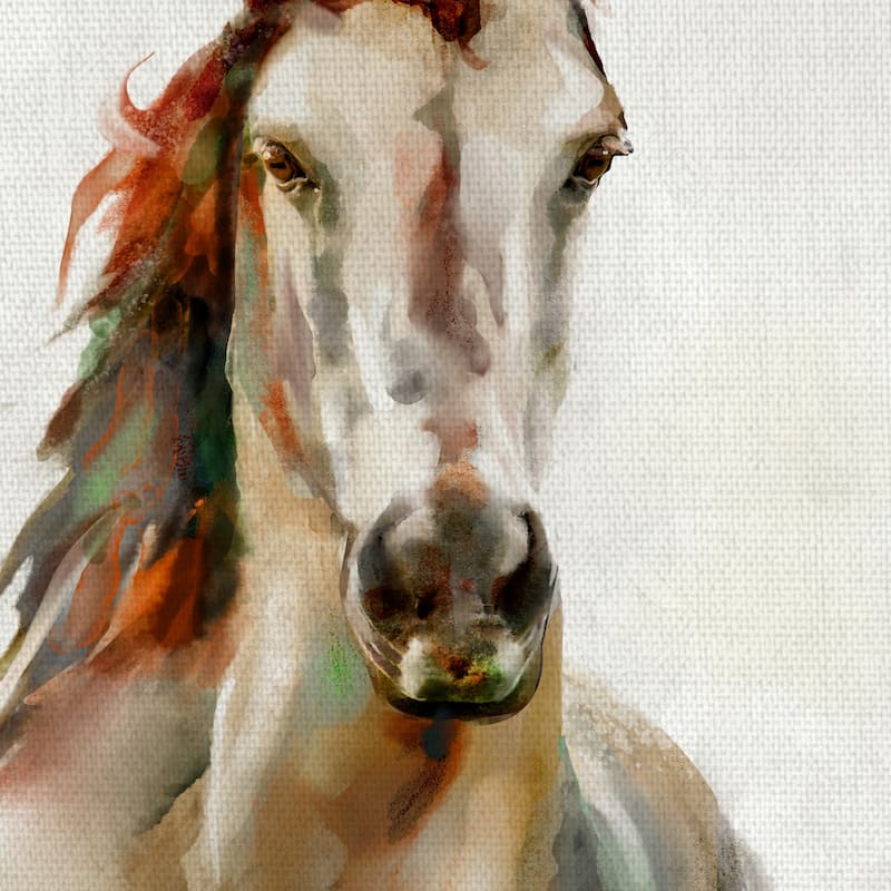 Spirit by Studio Arts Canvas Art Print