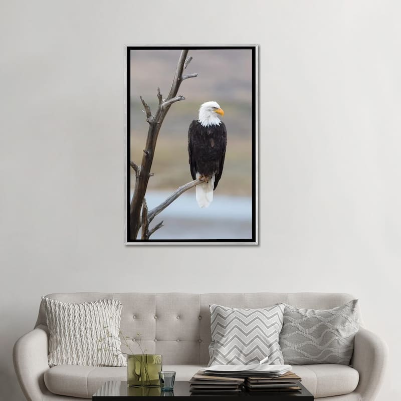 iCanvas "USA, Wyoming, Sublette County. Adult Bald Eagle sitting on a snag above Soda Lake." by Elizabeth Boehm Framed