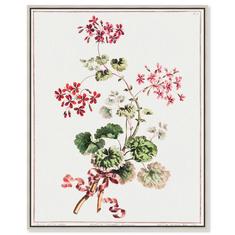 Carlet Variegated Geranium 1801 Canvas by Art Remedy - 20" x 24" - Silver