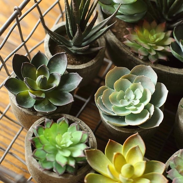 RusticReach Artificial Small Succulent Planter Randomly Picked Set of 5 - Green