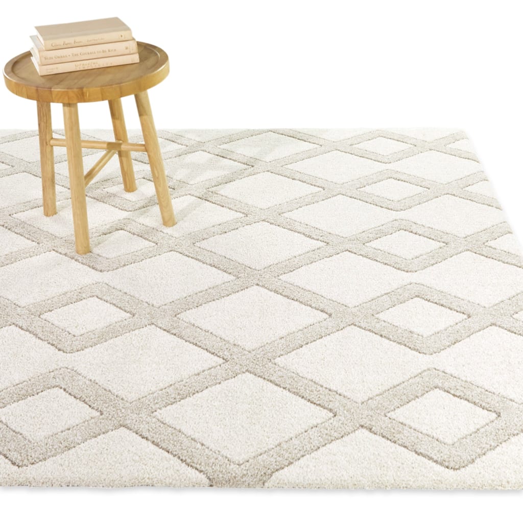 Penfield Geometric Trellis Area Rug