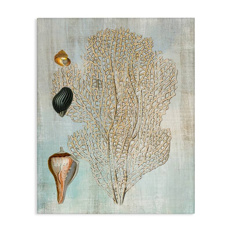 Stupell Detailed Coral & Seashells Canvas Wall Art Design By Susan Arnot - 16 x 20