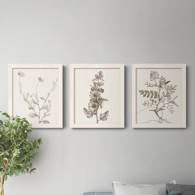 Neutral Botanical Study IV-Premium Framed Canvas - Ready to Hang - Multi-Color