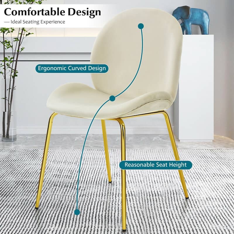 Set of 2 Velvet Accent Chairs with Gold Metal Legs - 19" x 21.5" x 34" (L x W x H)