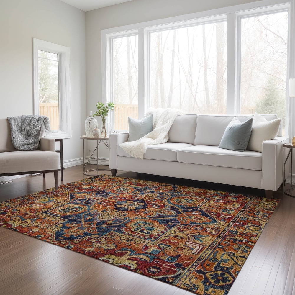 Machine Washable Indoor/ Outdoor Traditional Boho Chantille Rug