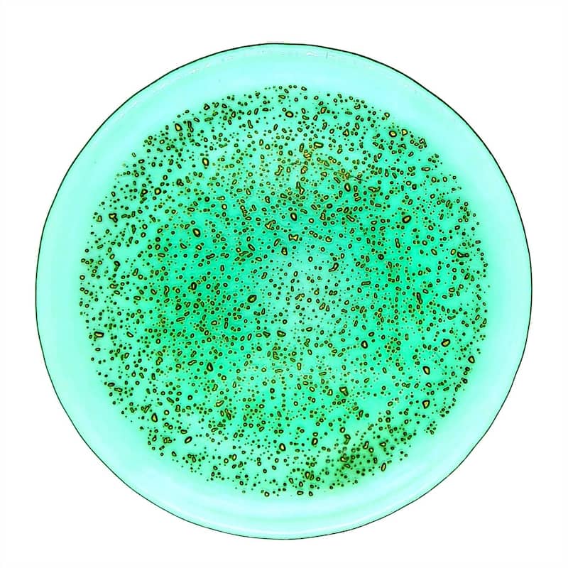 ISLA Dinner Plates Set of 4 - 11"