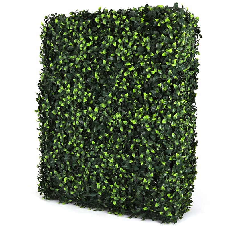Boxwood Hedge Wall