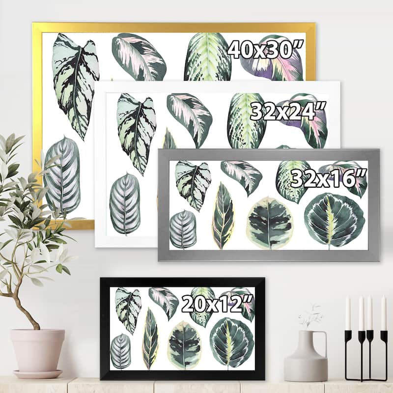 Designart "Tropical Calathea Leaves" Bohemian & Eclectic Framed Art Print