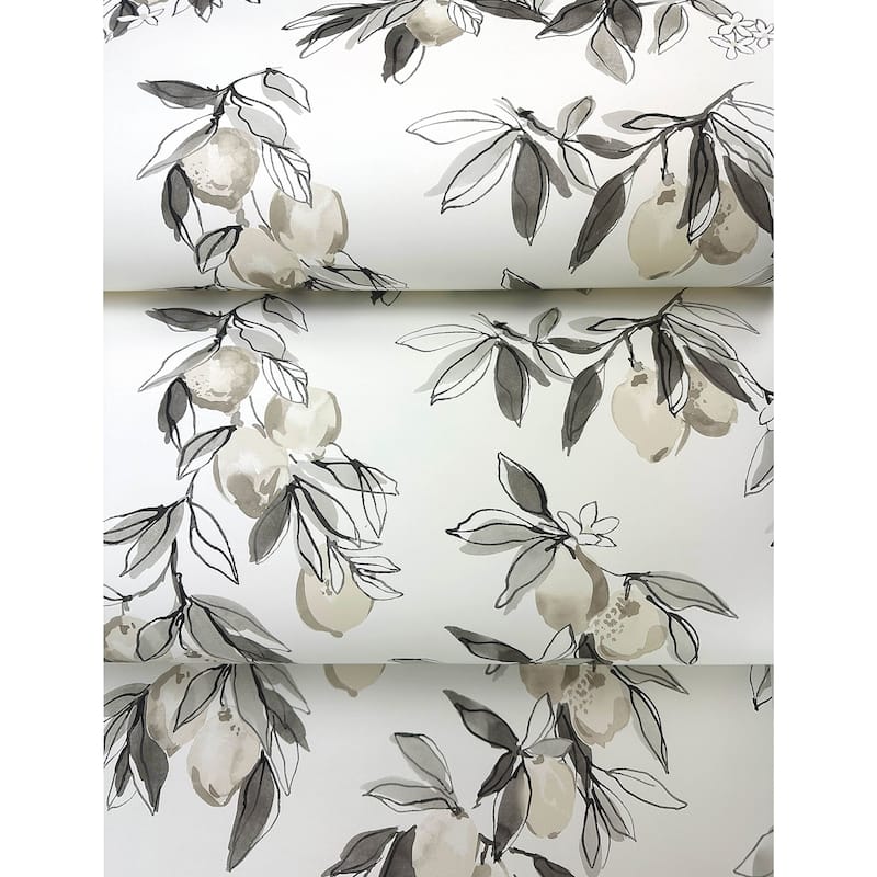 Chesapeake Lemonade Charcoal Citrus Wallpaper