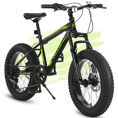 Ecarpat Kids Bike with 20-inch Wheels