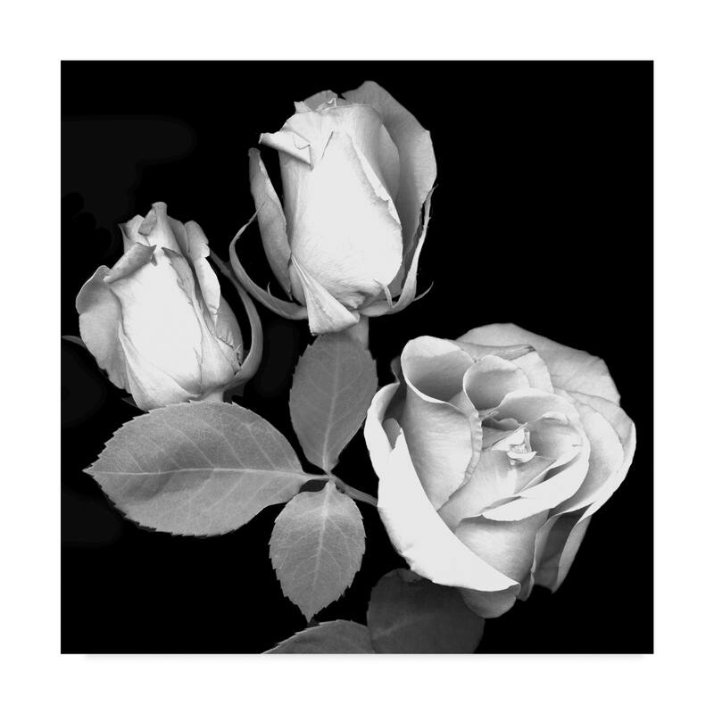 Susan S. Barmon 'Three Roses Black And White' Canvas Art