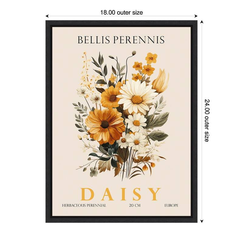 Vintage Botanical Daisy Illustration by Christopher Giampietro Framed Canvas Wall Art Print - Black - 18 x 24 in