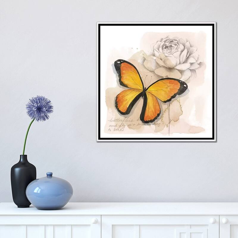 iCanvas "Shadow Box Butterfly IV" by Grace Popp Framed Canvas Print