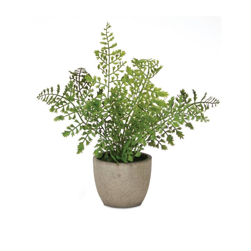 Potted Fern Plant (Set of 3) - 11 x 3.5 x 9.5