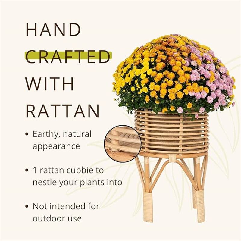 Rattan Indoor Plant Stand