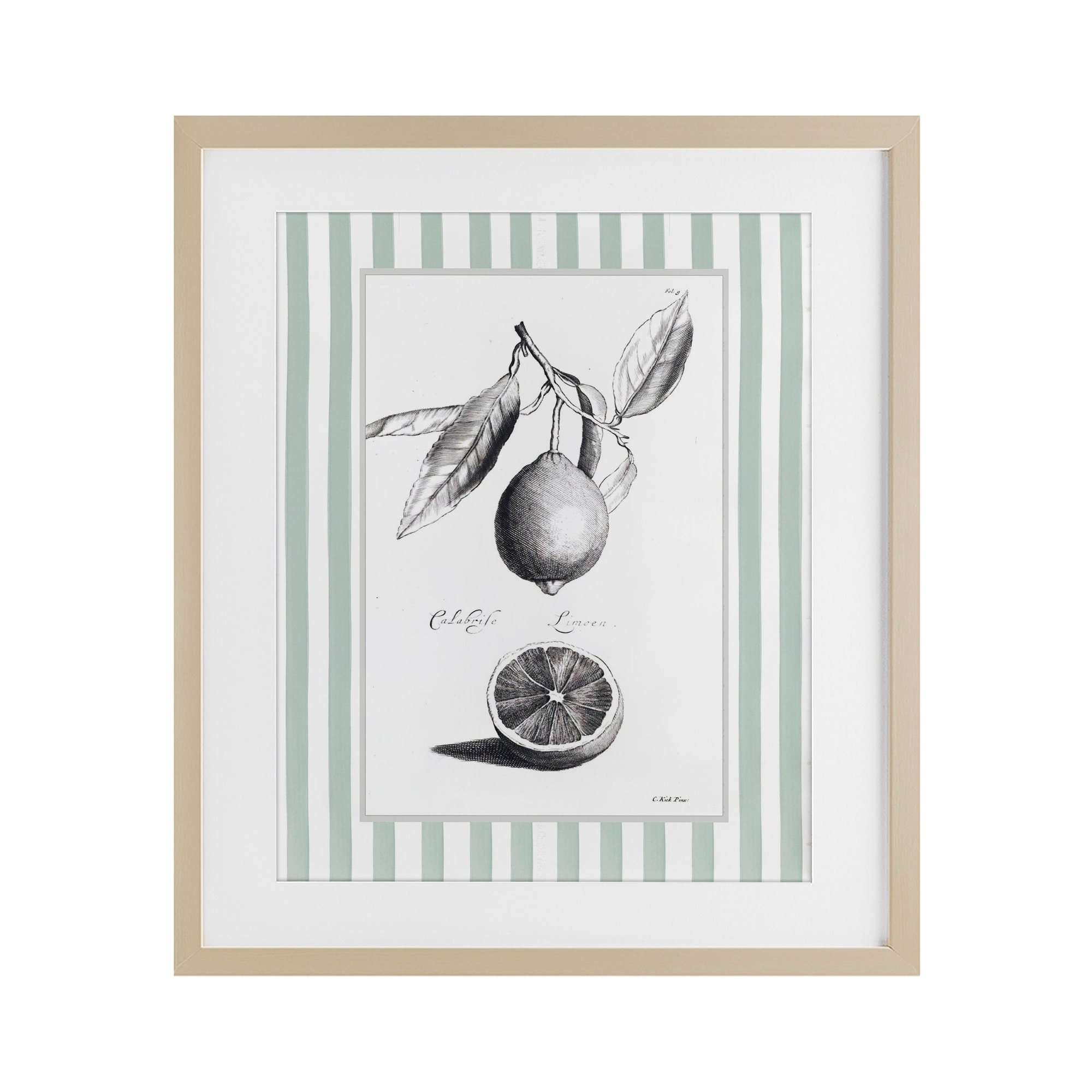 Vintage Citrus Striped Border Lettered and Lined