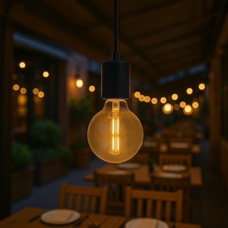Festive Living LED G125 + T25 Bulb Indoor/Outdoor Covered Edison Bulbs, E26 Base - Large