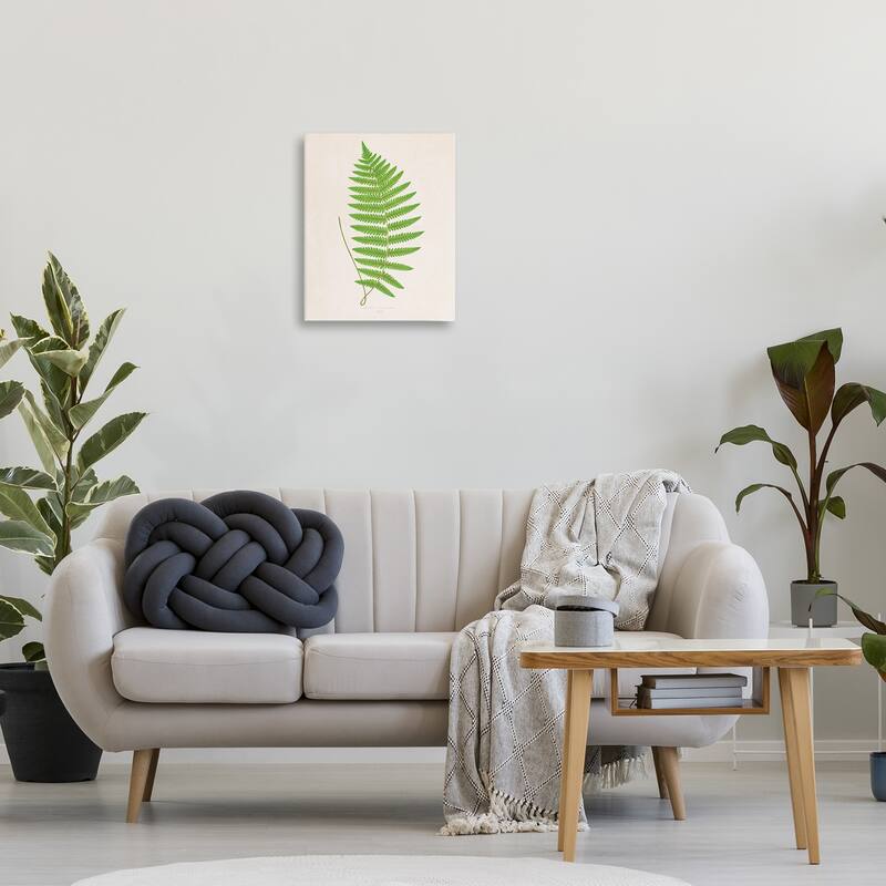 Stupell Single Fern Branch Canvas Wall Art Design By Phillipa Katz