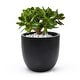 preview thumbnail 49 of 111, Tapered Round MgO Planter, Indoor and Outdoor