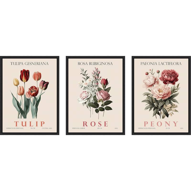 Amanti Art Vintage Rose Peony and Tulip 3 Piece by Christopher Giampietro Framed Canvas Wall Art