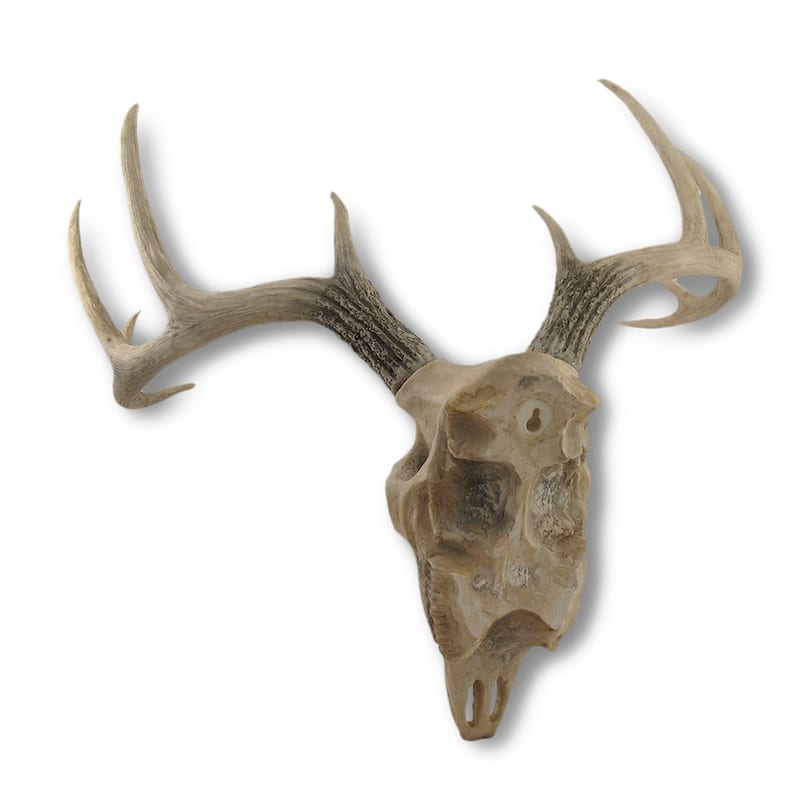 10 Point Buck Deer Skull Bust Wall Hanging