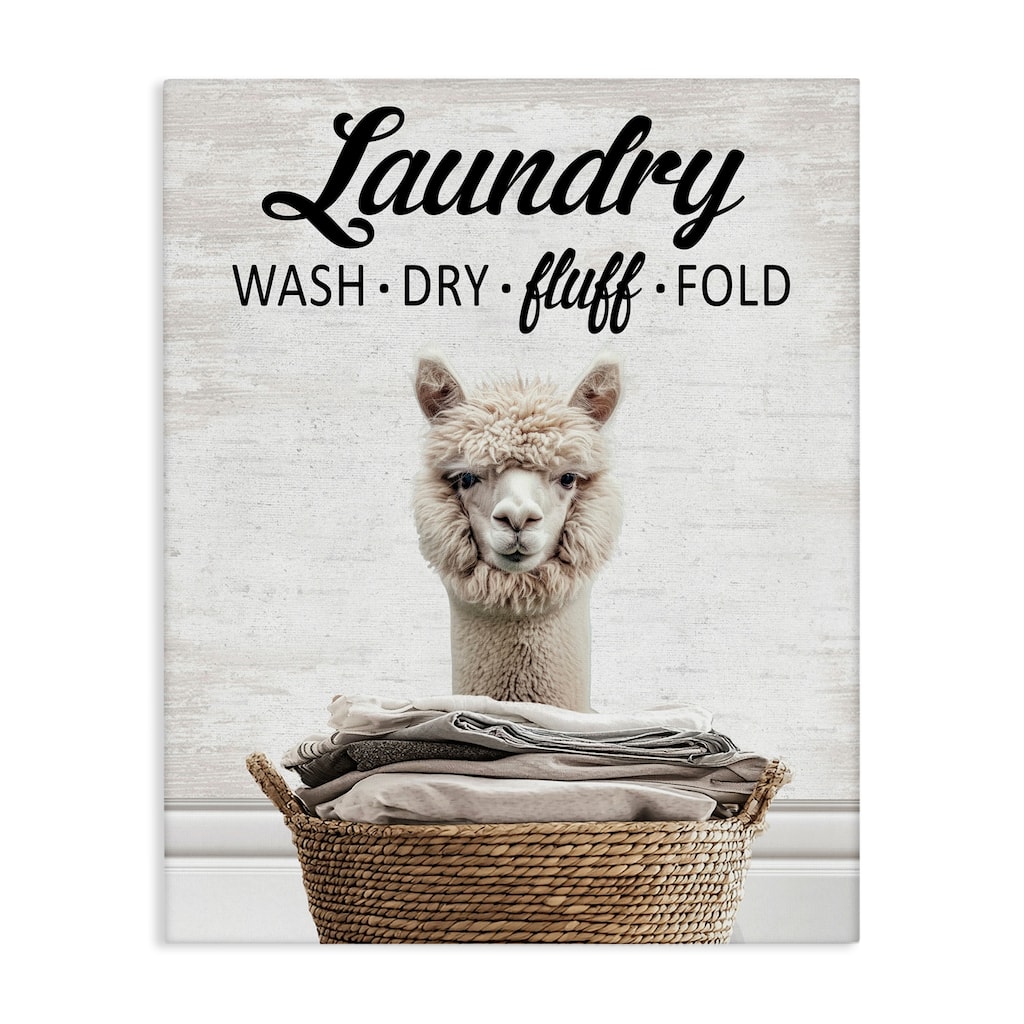 Stupell Wash Dry Fluff Laundry Canvas Wall Art Design By Lettered and Lined