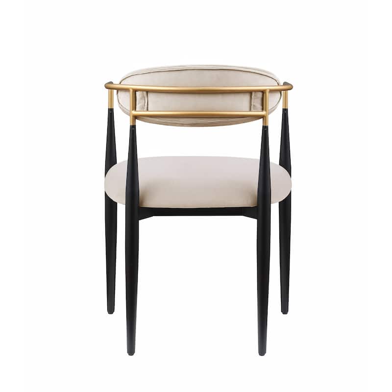 Modern Contemporary 2pcs Side Chairs
