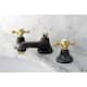 Option Black Stainless Steel/Polished Brass