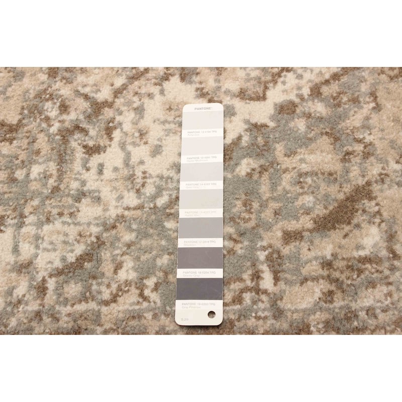 ECARPETGALLERY Machine Woven Priya Grey Area Rug