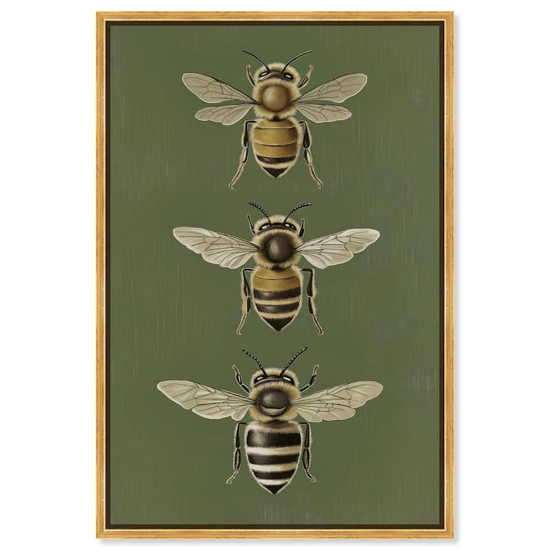 Anatomy of the Bee Canvas by Art Remedy - Gold - 20" x 30"
