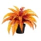 preview thumbnail 1 of 1, 17-in Autumn Artificial Fall Boston Fern Plant