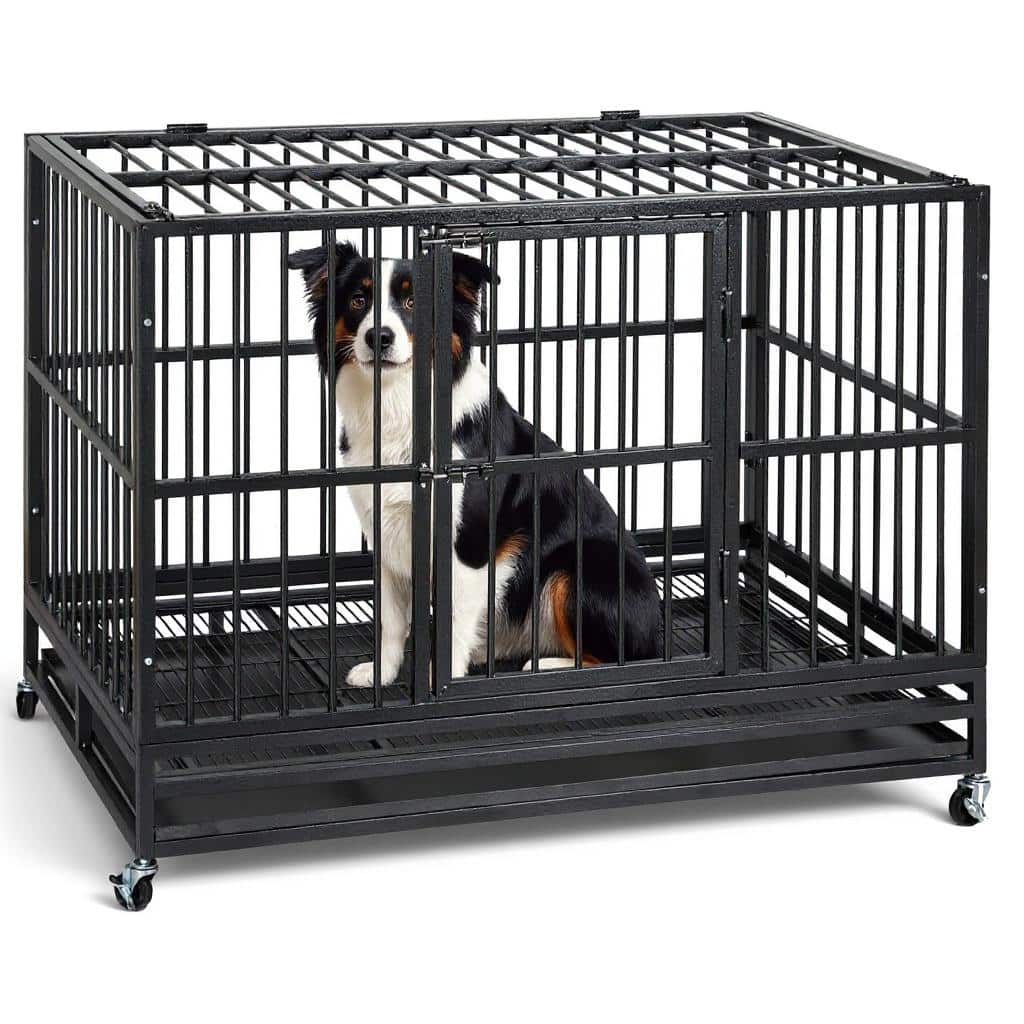 48" Dog Crate, with Wheels and Sturdy Locks