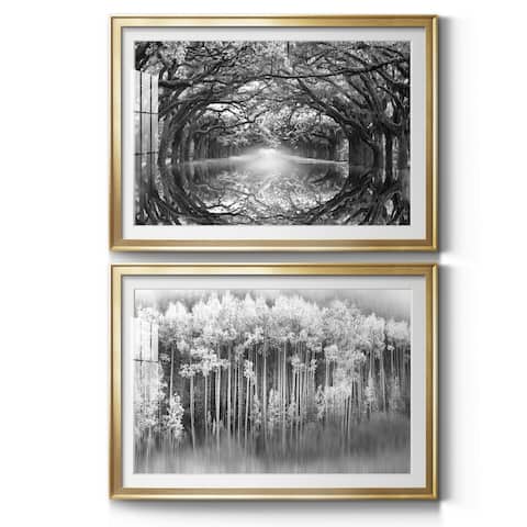 Oak Alley Reflection Premium Framed Print - Ready to Hang