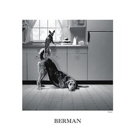 Busted'' by Howard Berman Photography Art Print (24 x 18 in