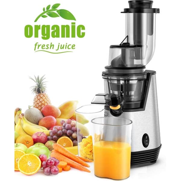 Juicer Machines, Slow Masticating Juicer for Fruits and Vegetables