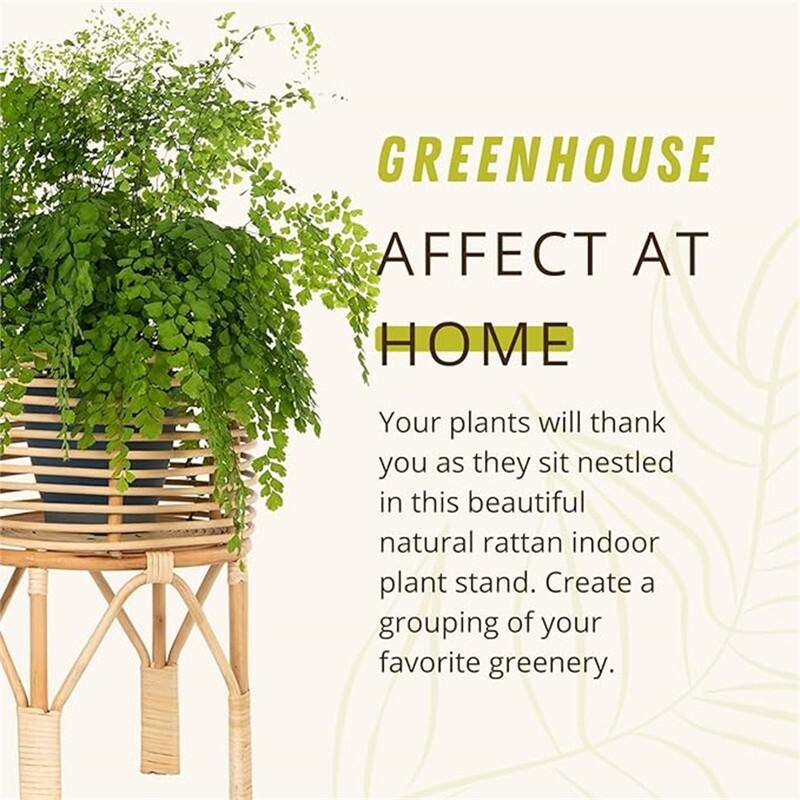 Rattan Indoor Plant Stand