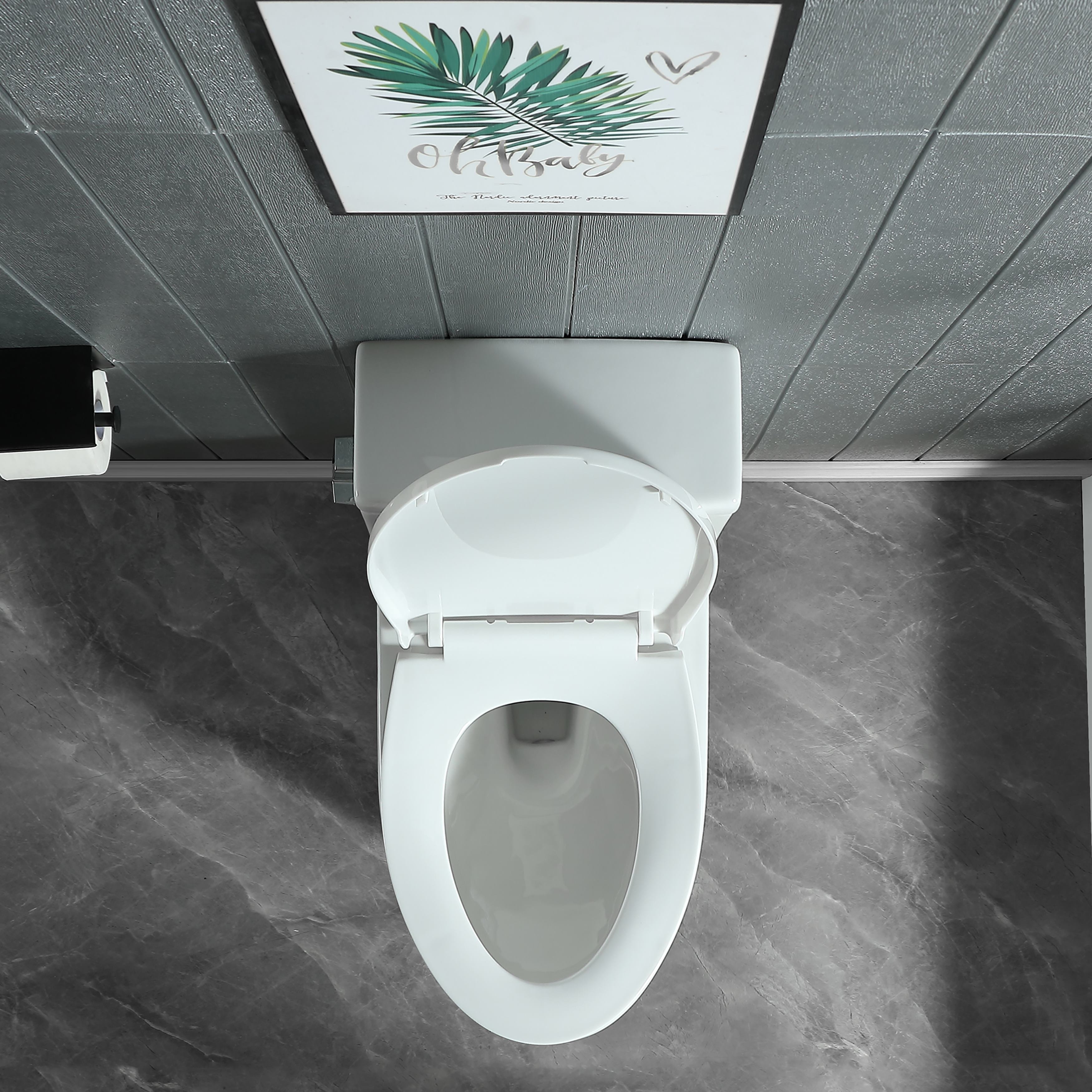 Abruzzo One-Piece Toilet 1.1 GPF/1.6 GPF Dual Flush Elongated Toilet with Soft Closing Seat in Glossy White